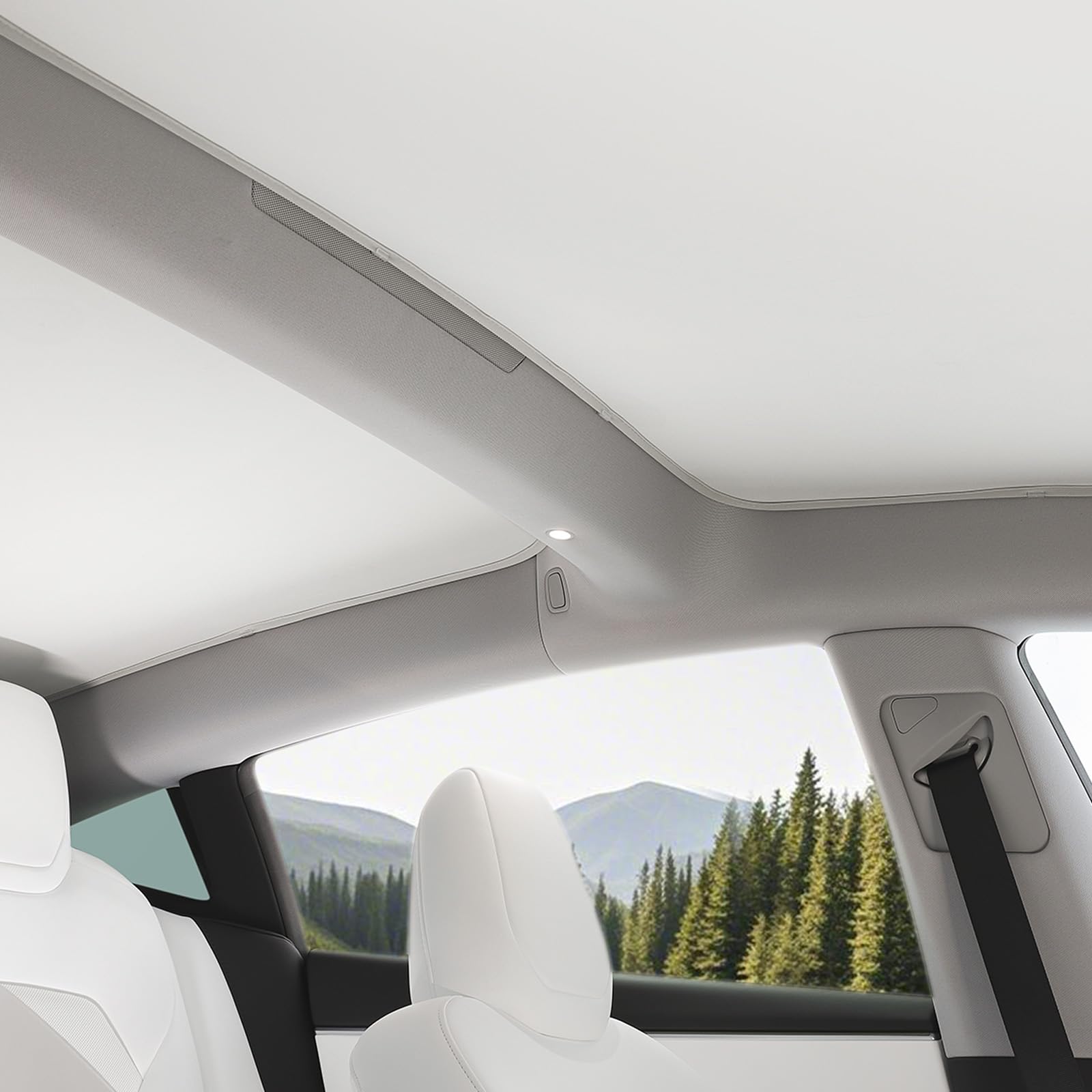 Amazon.co.jp: TPARTS ガラスルーフサンシェード Tesla Model 3