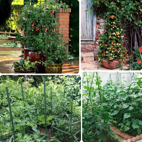 Tomato Cage Plant Support For Garden - 13 Inch By 37 Inch Climbing Plant Stake Square Rust Resistant Plant Trellis With 3Pcs Clips Outdoor Plant Stand Cage For Vegetable Flowers Fruit Cucumber Rose #TOP4