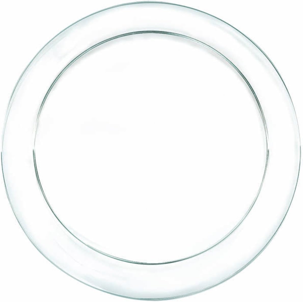 Amscan Dinner Plates 9' 24/Pkg Clear Plastic
