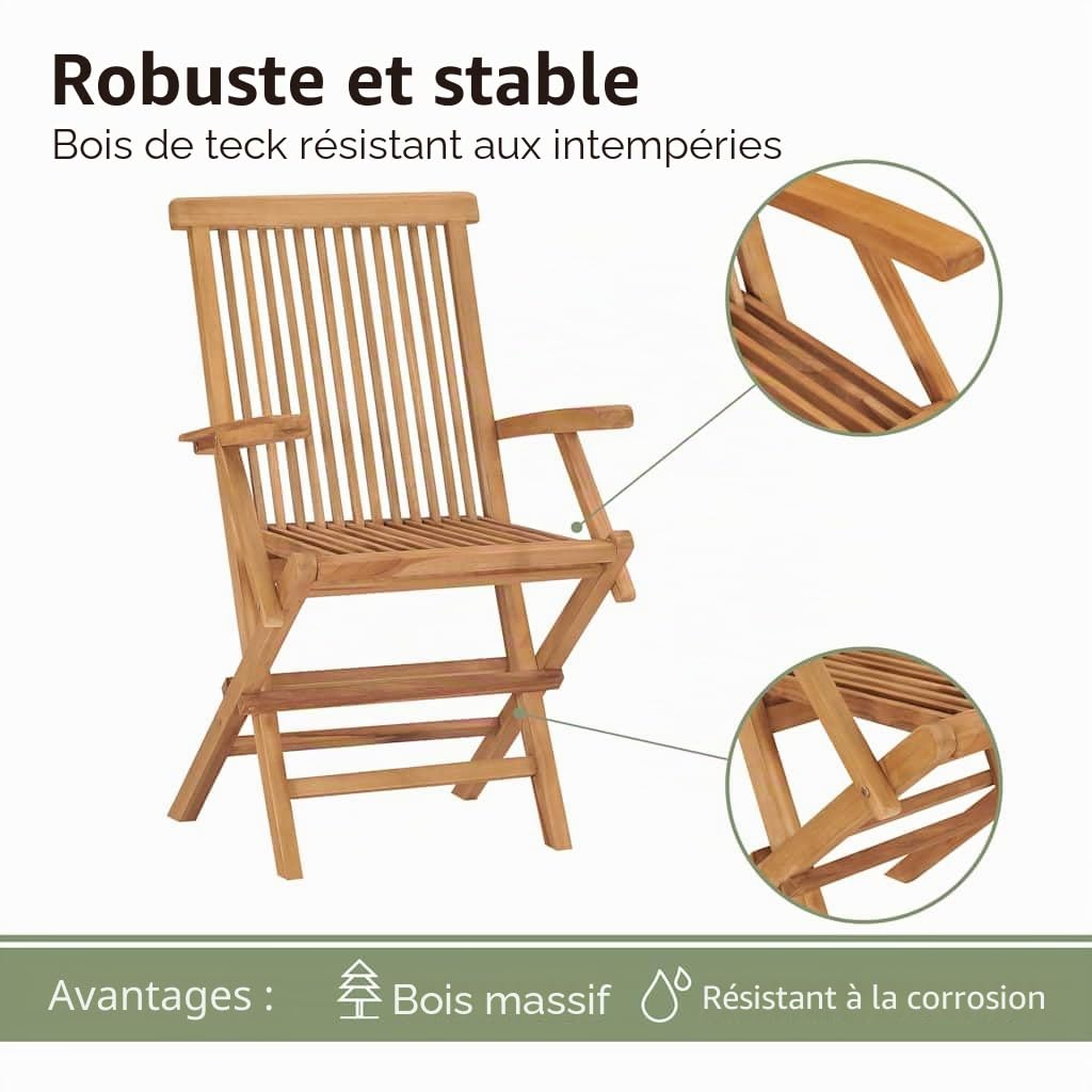 Chaises pliables de jardin lot de 2 Bois de teck solide