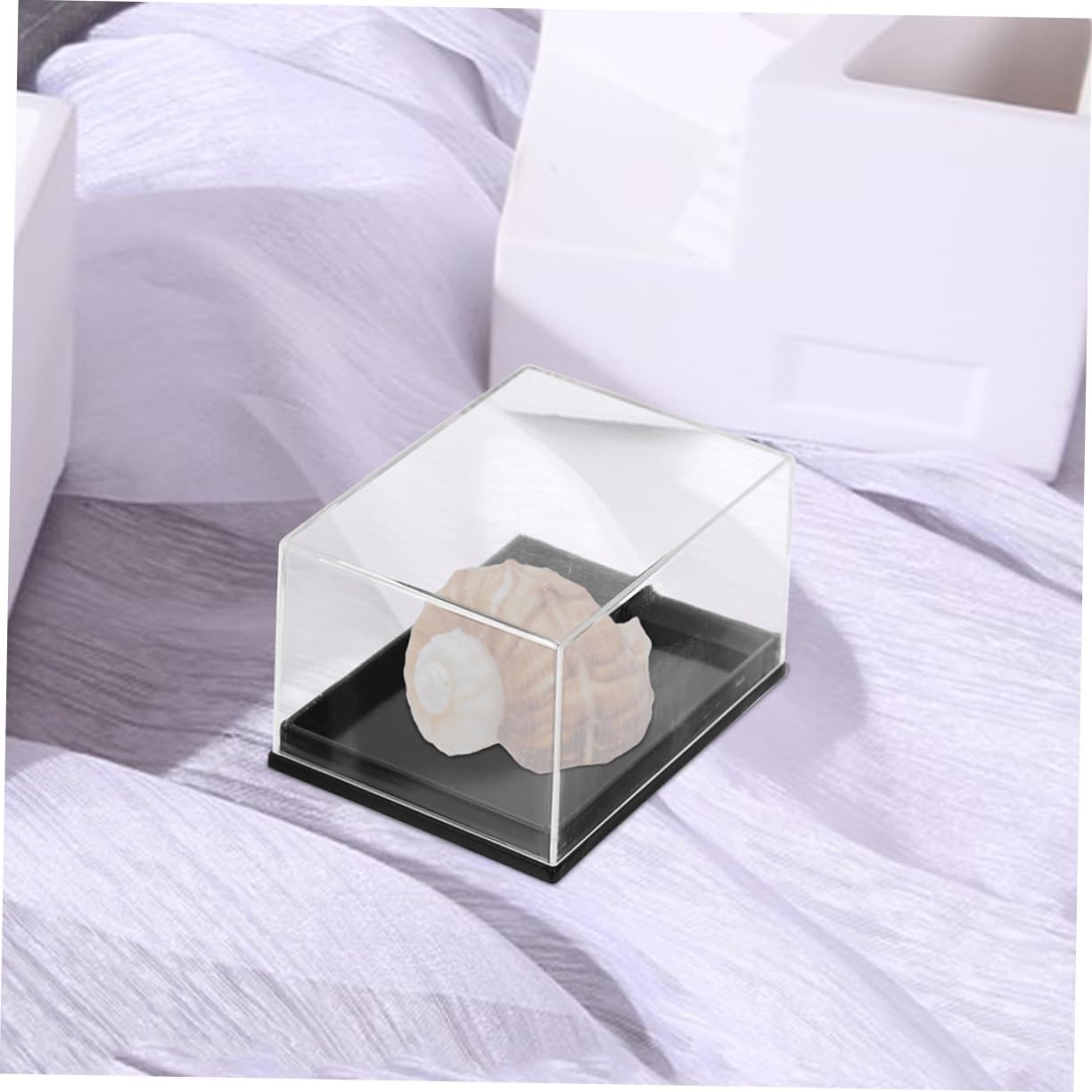 Kisangel 8pcs Gemstone Display Case Specimen Boxes for Jewelry Storage Shell Collection Box