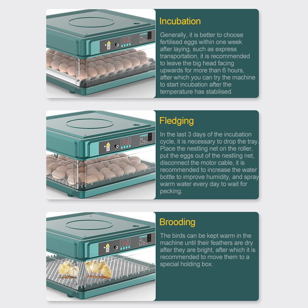 CcacHe Incubatrici Automatiche per Uova, incubatrici per Uova con giratore di Uova/riempimento Automatico dell'Acqua/Controllo della Temperatura/Illuminazione a LED, per polli Anatre oche Uccelli,6