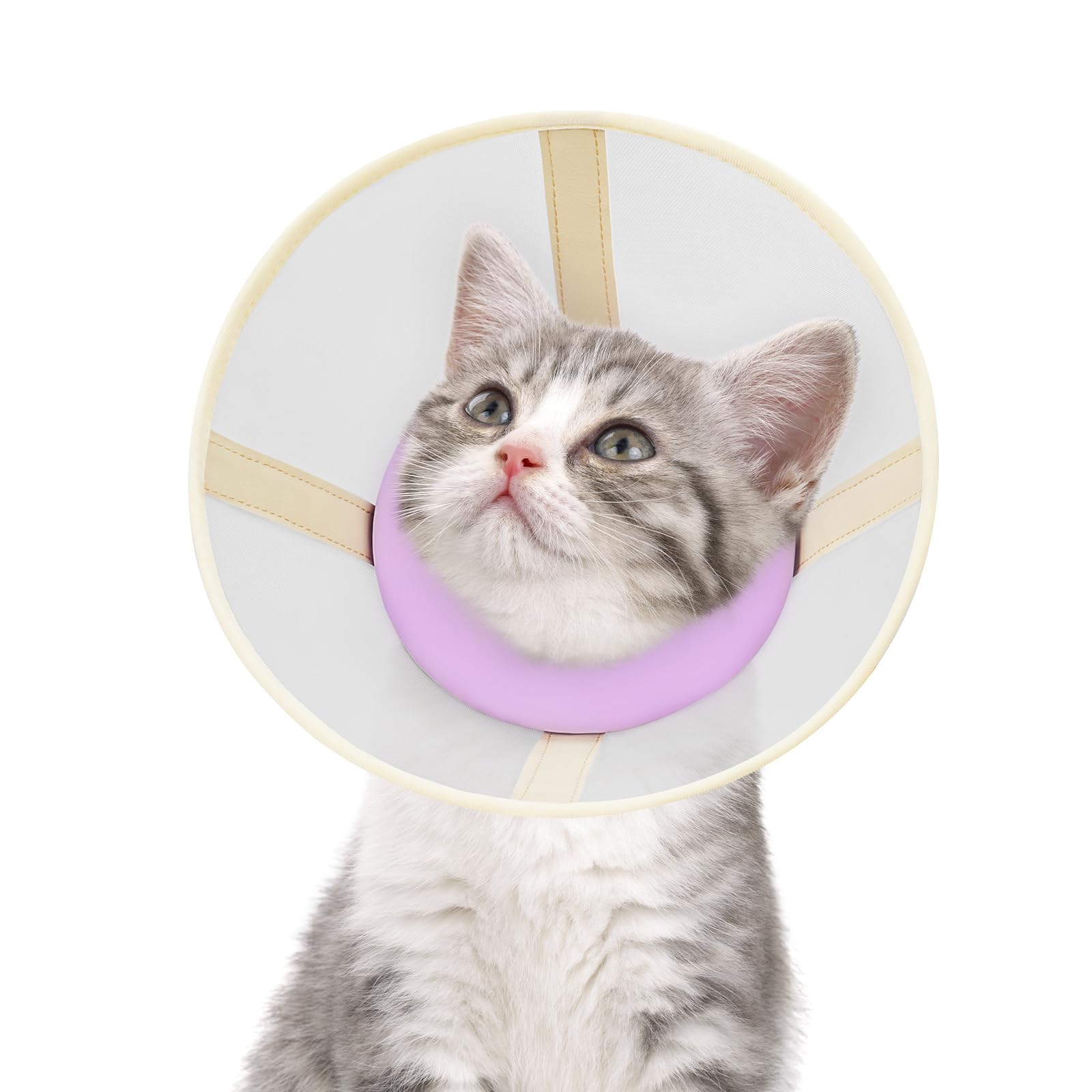 Cat Cone Collar Soft- Adjustable Comfortable Air Mesh Recovery Cone After Surgery to Stop Licking and Scratch, Alternative to Plastic Elizabethan Collar for Cat, Whiskers Freedom (Purple, S)