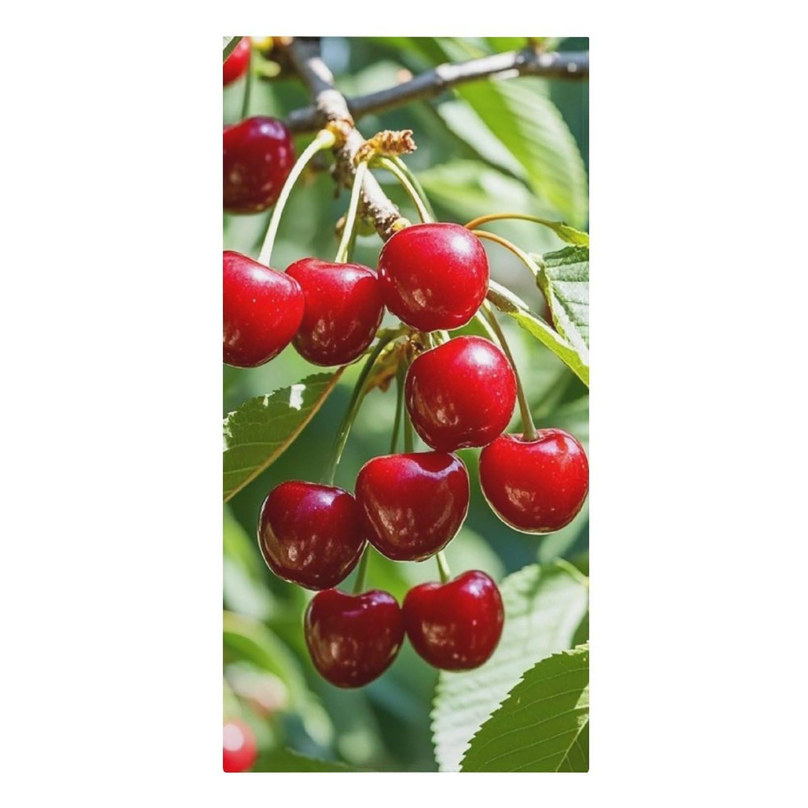 asbwuo Cherry Beach Towels Extra Large Quick Dry Absorbent
