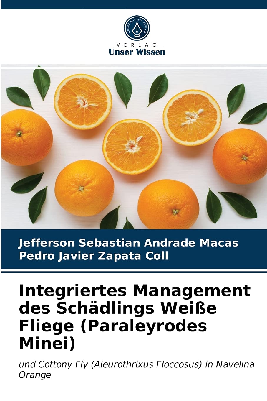 Integriertes Management des Schädlings Weiße Fliege (Paraleyrodes Minei)