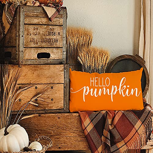 Fall Pillow Covers 12X20,Hello Pumpkin Autumn Throw Pillow Cover Decorations Pillow Covers Outdoor Fall Pillows For Fall Home Decor #TOP5