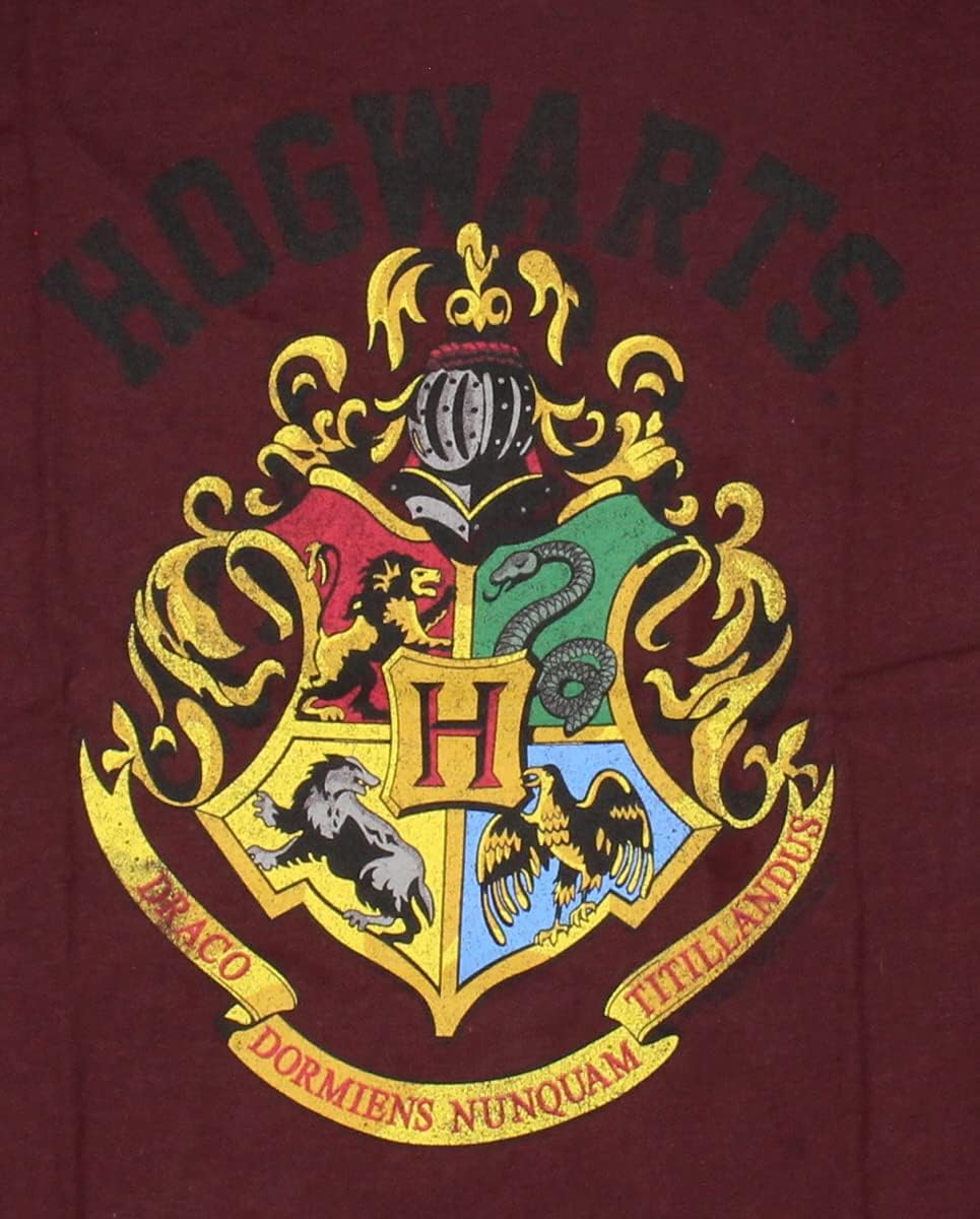 Youth Boys' Harry Potter Hogwarts Crest Short-Sleeve T-Shirt (X-Small)