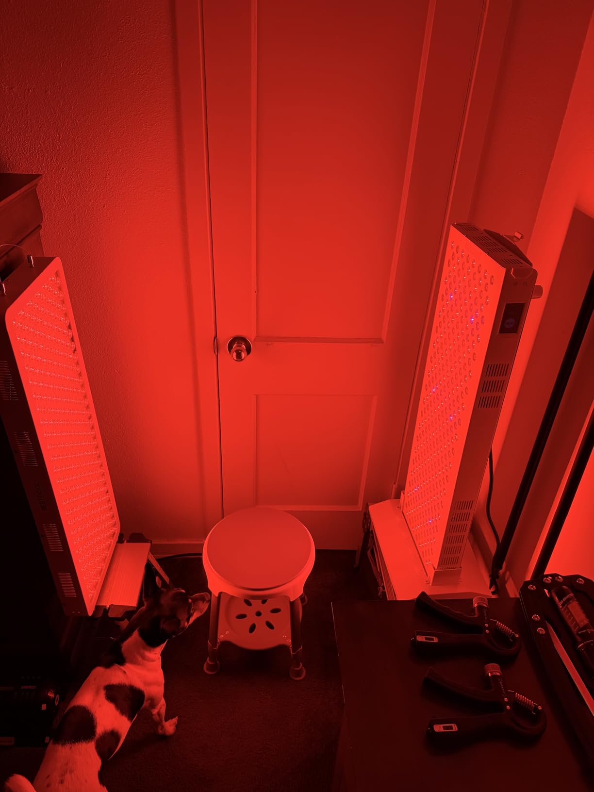 BestQool Pro300 spec breakdown: 300 dual-chip LEDs, 4 wavelengths including 940nm deep penetration, 500W verified power