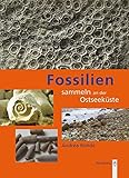  Fossilien sammeln an der Ostseeküste: Trilobiten, Seeigel, Donnerkeile und Co. - Fossilführende Gesteine des südwestlichen Ostseeraumes