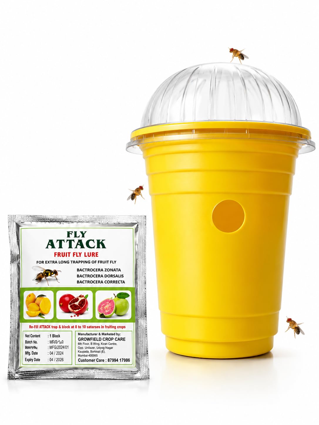 Fly Attack Fruit Fly Trap Kit with Lure Block, Yellow, Reusable, for Mango, Guava & Fruiting Crops-image-49