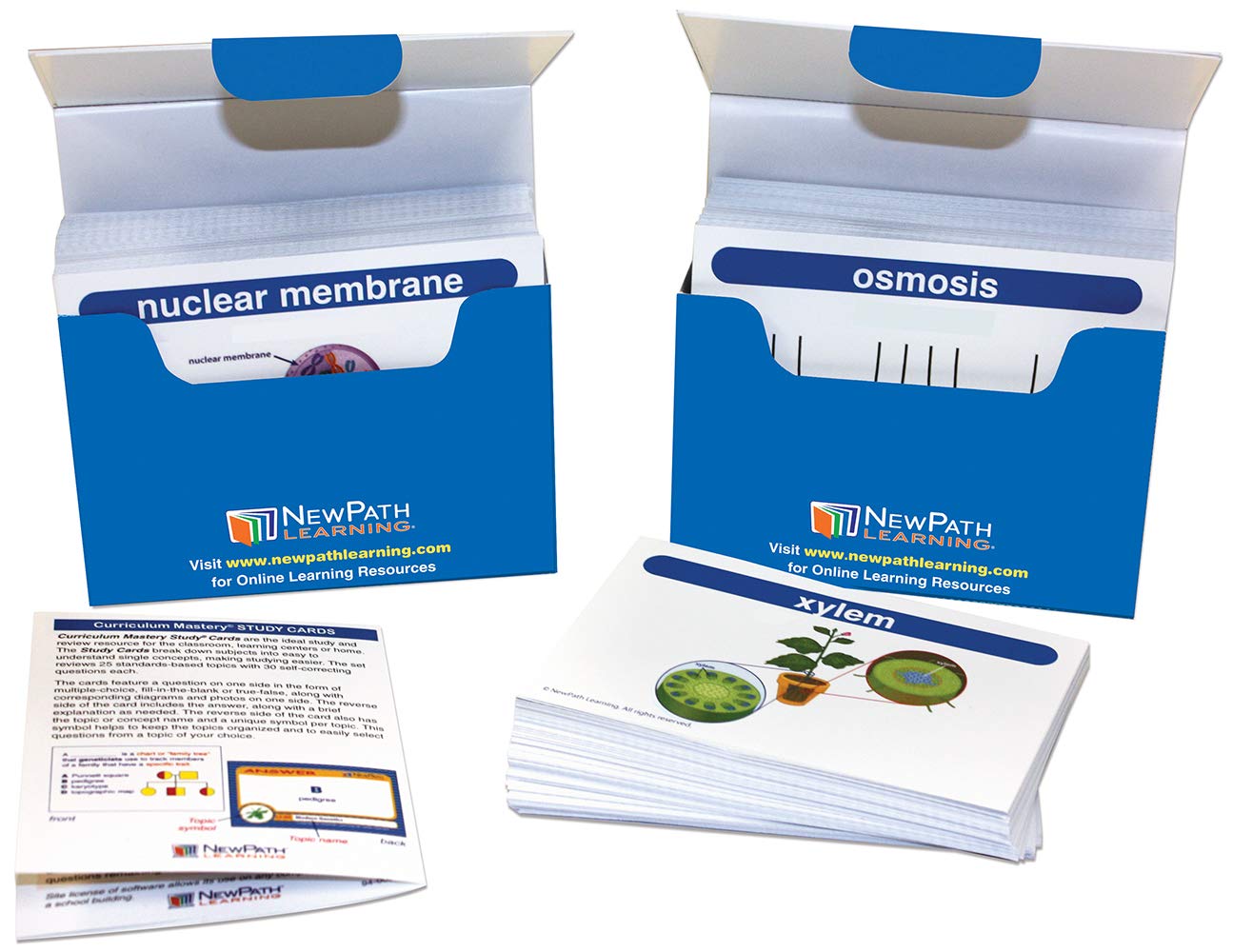 NewPath Learning Life Science Vocabulary Builder Flash Card Set, Middle School