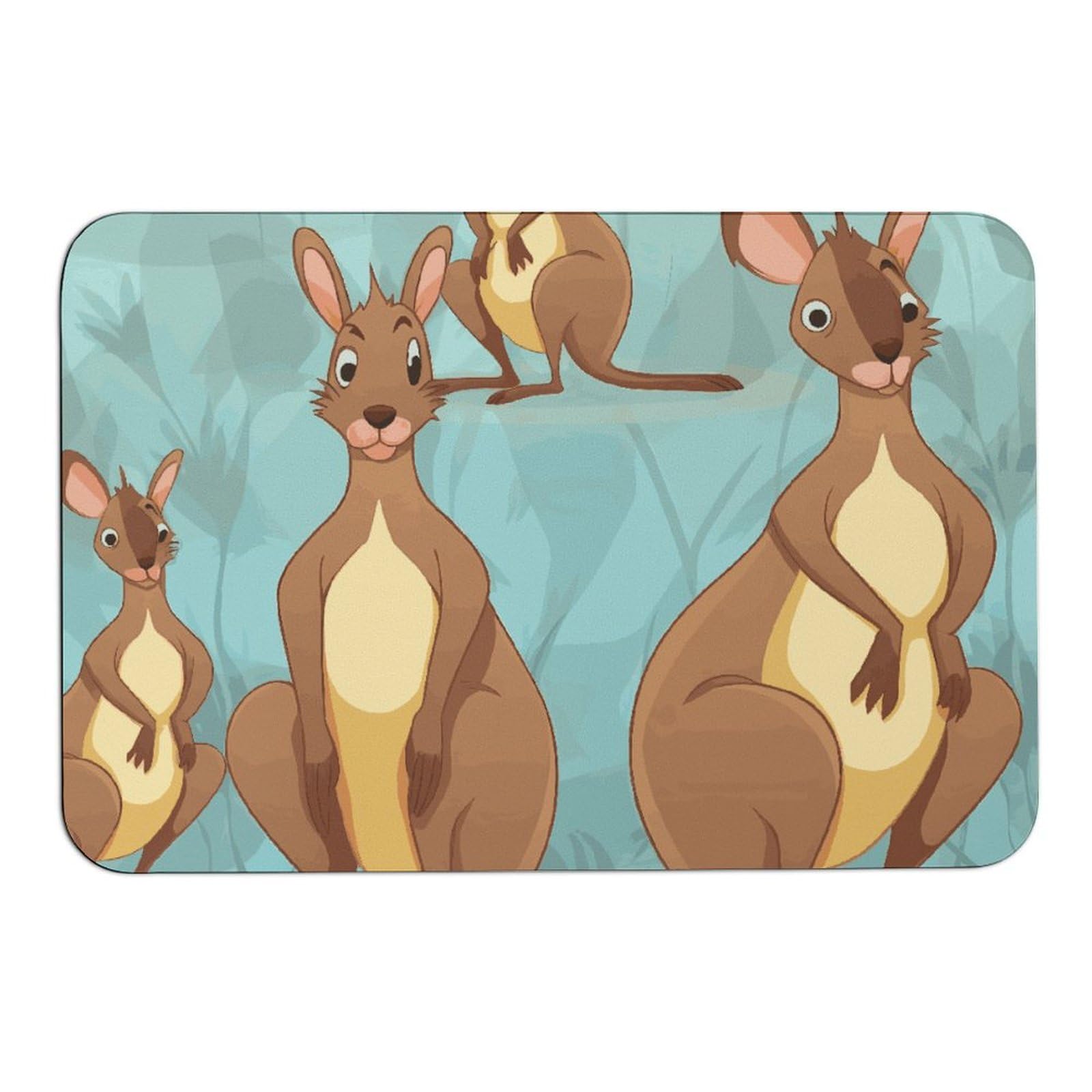 Tapis boue de diatomée kangourou anti-glissade pour stopper l'eau et la saleté