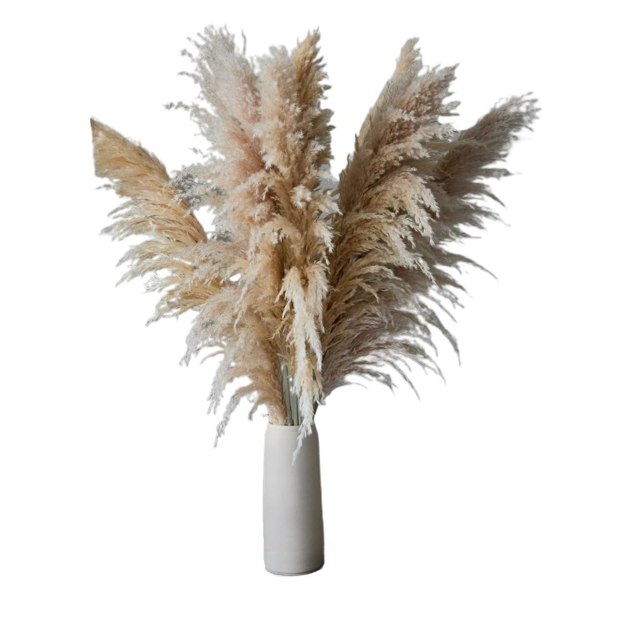 Pampasgras Deko Pampasgras, 80 cm, groß, flauschig, getrocknete Pampasblume, Weihnachtsdekoration for Zuhause, Hochzeit, Familie, Gartenparty Trockenblumen(5pcs)