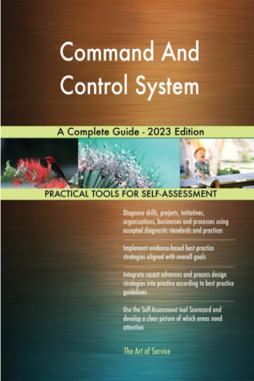 Command And Control System A Complete Guide - 2023 Edition