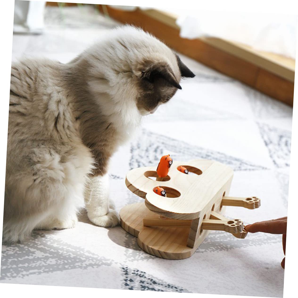 BESTonZON Interaktives Katzenspielzeug Holz Mäuseform Edukatives Kratzspielzeug mit Catnip Fach Leichtes Langlebiges Pet Toy für Wohnungskatzen Kreatives Beschäftigungsspiel Zufällige Farbe