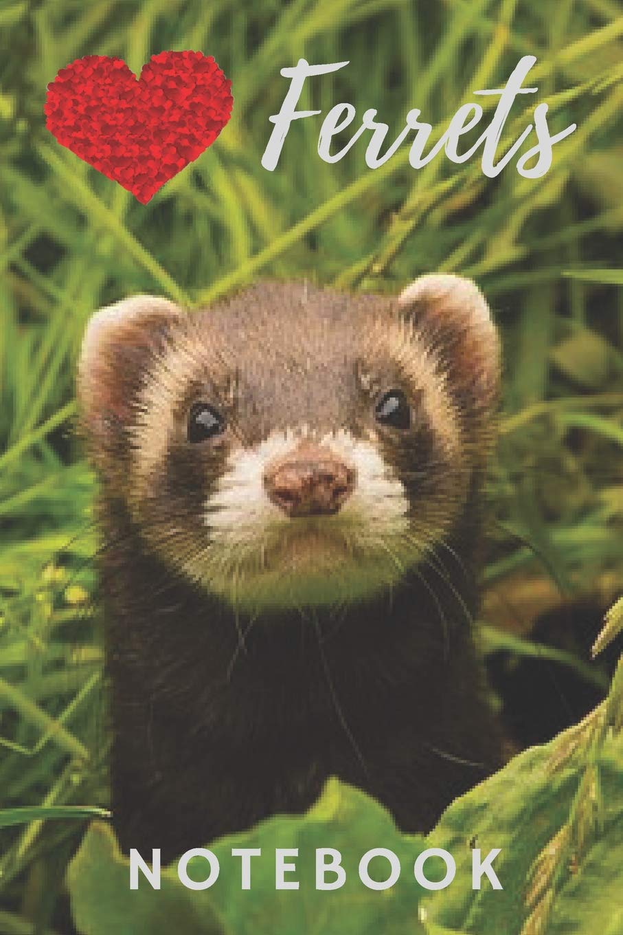 Ferret Notebook: cute ferrets gift for children who love animals (blank lined notebook) pet notepad for girls / best for writing stories, notes and ... / journal for journaling / ferret journal