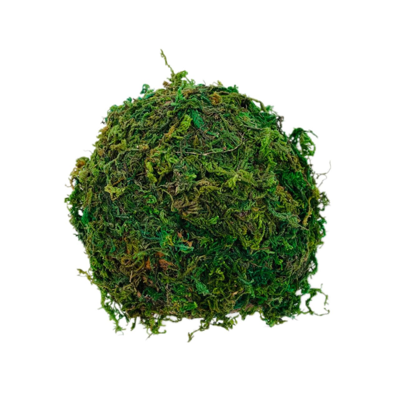 VICASKY Reptiles Shelter Hamster Hiding Cave Green Decorative Shelter for Reptiles Hard Texture Natural Look for Hiding