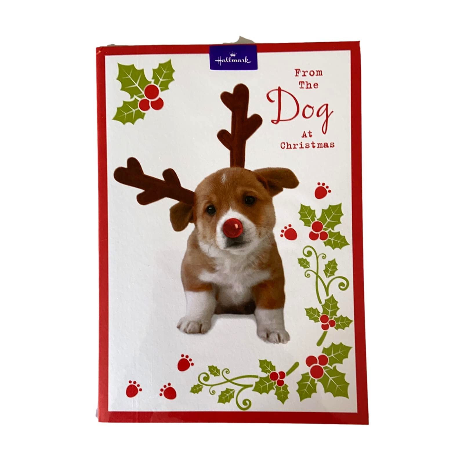 Shop Inc Milti From The Dog At Christmas, Christmas Greetings Card