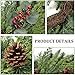 Christmas Wreath with Lights 24 Inch Real Touch Pine Wreath with Red Berries/Pine Cone Prelit Christmas Wreaths for Front Door Outdoor Christmas Decorations Winter Wreath for Windows Indoor Holiday