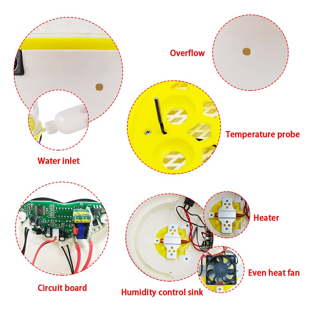 Incubatrice per uso domestico Controllo automatico della temperatura Mini uova digitali da cova Controllo automatico della temperatura Hatcher per polli, anatre, uccelli (9eggs)