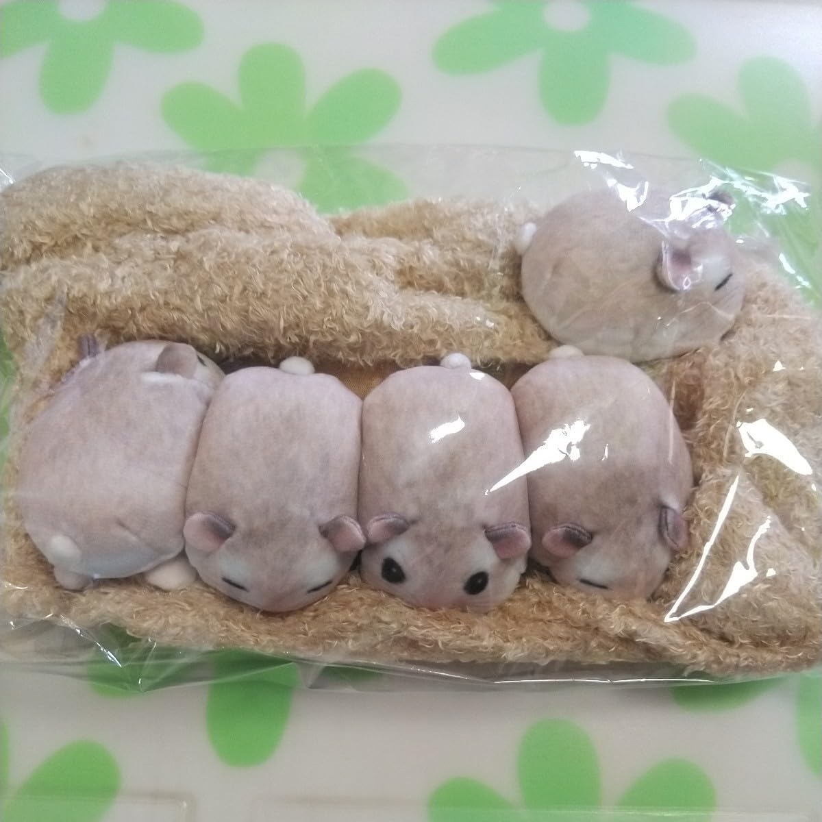 ハムスターボックス (@hamsterbox_official) • Instagram photos and