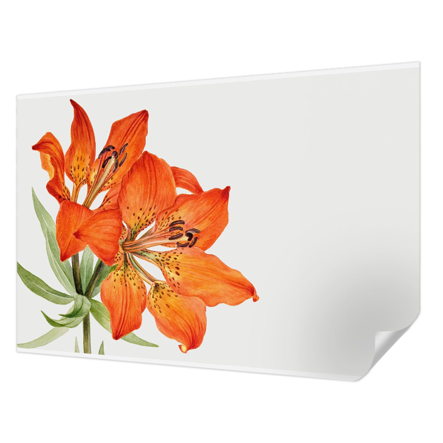 Papel pintado lavable para ocultar imperfecciones fotomural autoadhesivo comedor 152x104