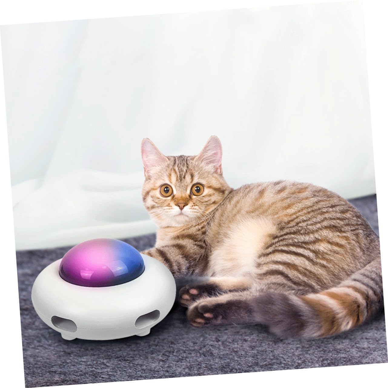 VANZACK 1 Jeu Jouet De Chat Drôle Jouet Interactif Chat Électrique Jouets Électriques pour Chiens Jouets De Dentition Chaton Soi Faire Tourner Automatique Abdos Chat Taquin Blanche