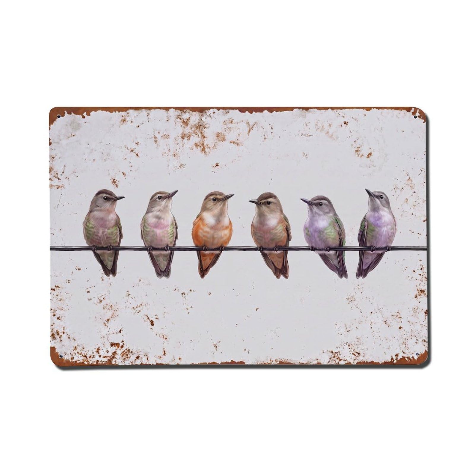 Vintage Retro Birds Catbird Metal Tin Sign