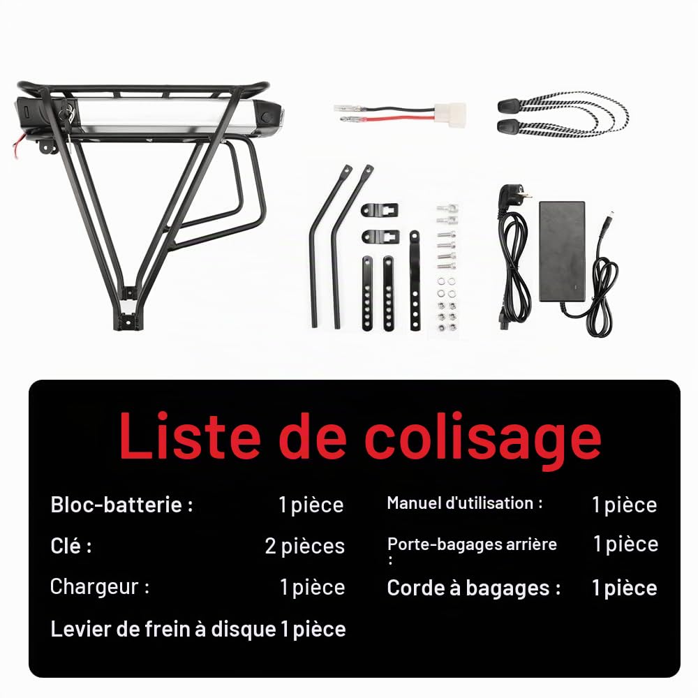 SEASON Ebike Batterie pour Porte-Bagages 36V - 13Ah 14.5Ah 15.6Ah 17.4Ah / 48V - 10.4Ah Batterie au Lithium-ION pour vélo électrique1000W 750W 500W 350W Moteur(avec Chargeur)