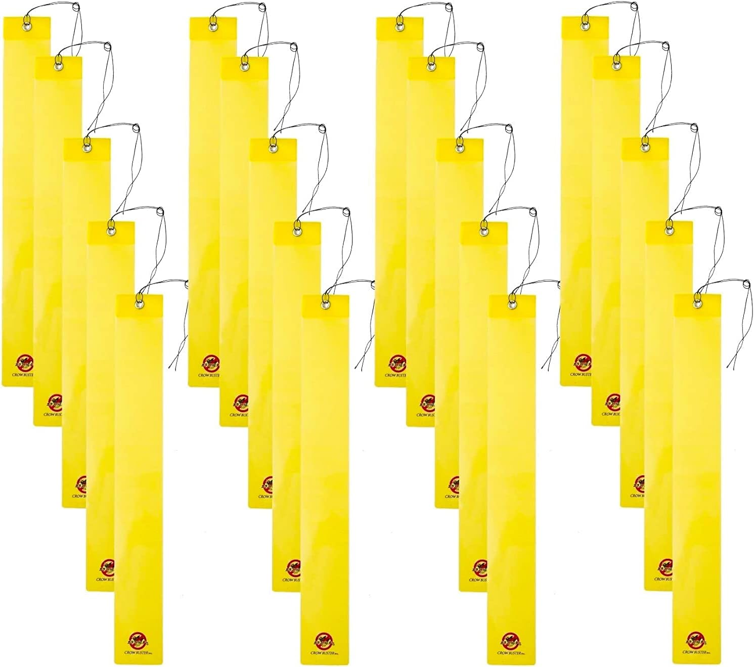 C.C. MP 2枚 サンライズクルセイド C.C. MP 2枚 サンライズクルセイド C.C. MP 2枚 サンライズクルセイド C.C. MP 2枚 サンライズクルセイド