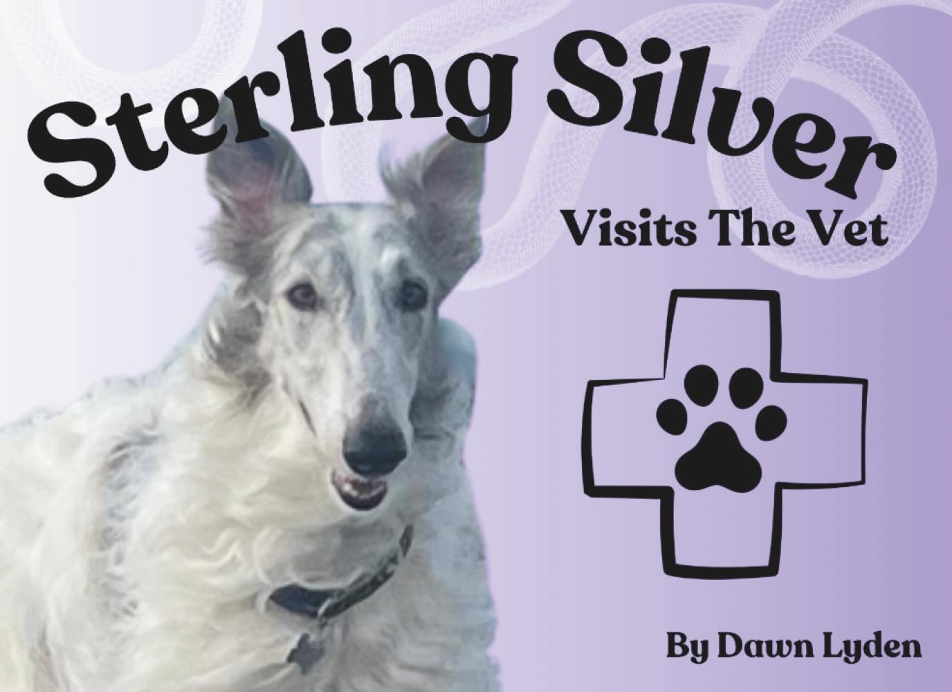 Sterling Silver Visits the Vet