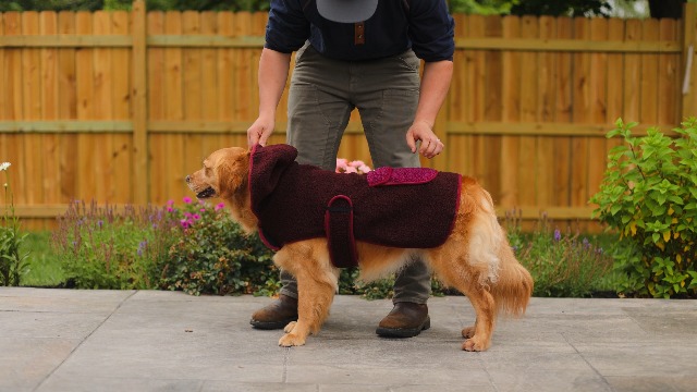 Amazon.com : Wilderdog Double-Layered Hooded Sherpa Fleece Dog