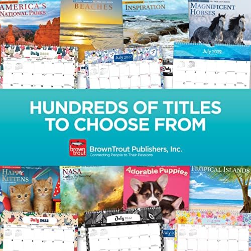 Adorable Puppies | 2023 12 x 24 Inch 18 Months Monthly Square Wall Calendar | Foil Stamped Cover | July 2022 - December 2023 | BrownTrout | Animals Dog Breeds Pets