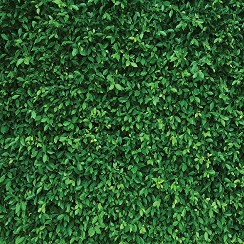 LYWYGG 8x8FT Green Leaves Photography Backdrops Mmicrofiber Nature Backdrop Birthday Background for Birthday