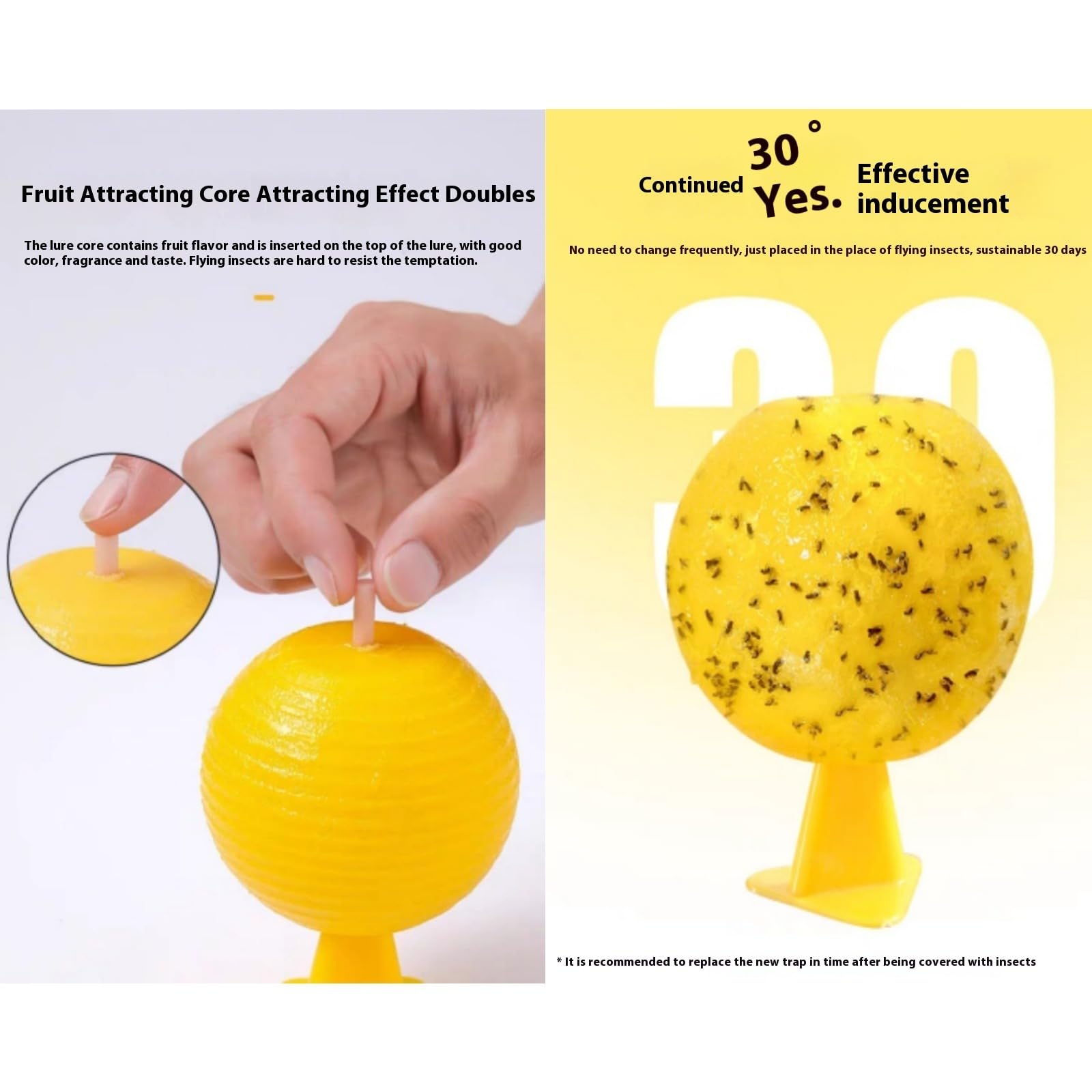 2 Pcs Pièges À Mouches Des Fruits | Lot De 8 Rubans Anti-Mouches Pour