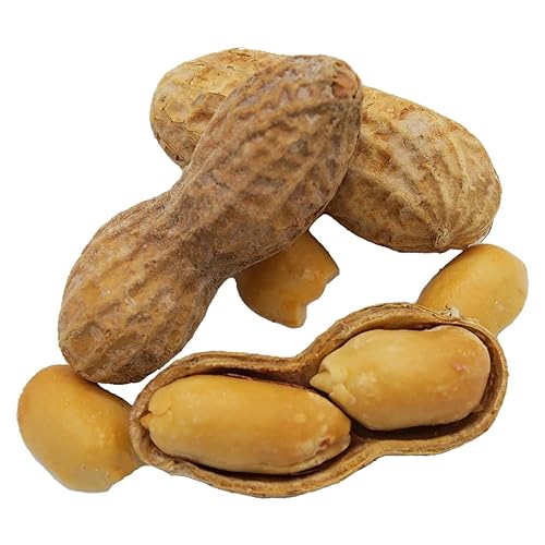 Miniatura 3 de Cacahuetes tostados con cáscara de nuez Barcelona - 1 libra - Sin sal - Cultivado en Estados Unidos - Sin gluten - En cáscara para humanos