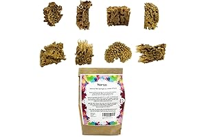 Artist Natural Sea Sponges for Painting: Unbleached Textures for Canvas Creativity