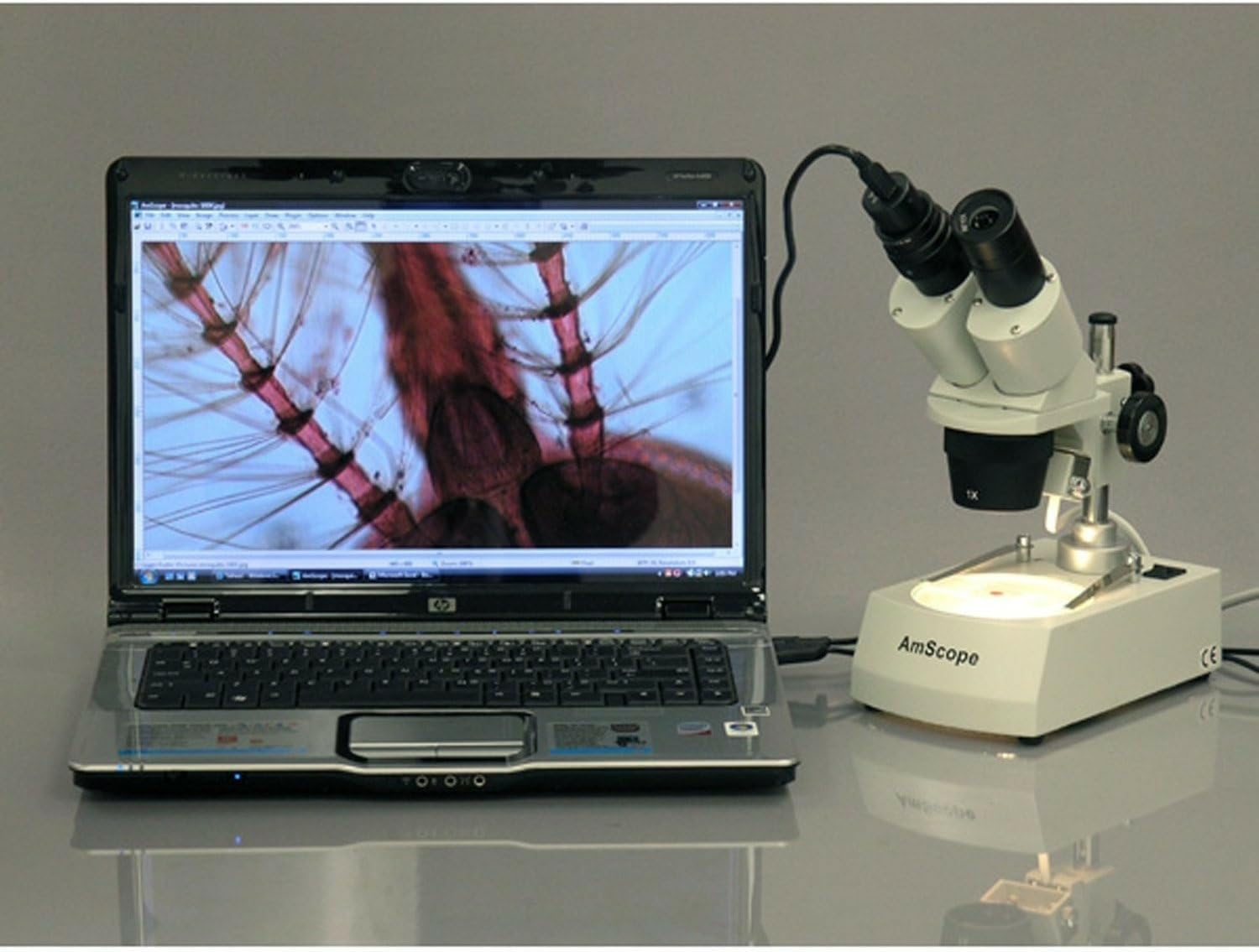 AmScope SE305R-PZ-E 10X-20X-30X-60X Microscopio est-reo, Usb de la c-mara