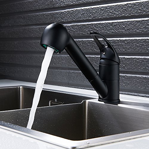 Fannybuy Black Pull Out Sprayer Kitchen Sink Faucet with Pull Down Sprayer Chrome Solid Brass Bar Small Single Handle Single Lever Mixer Taps Laundry Sink Faucets (Black)