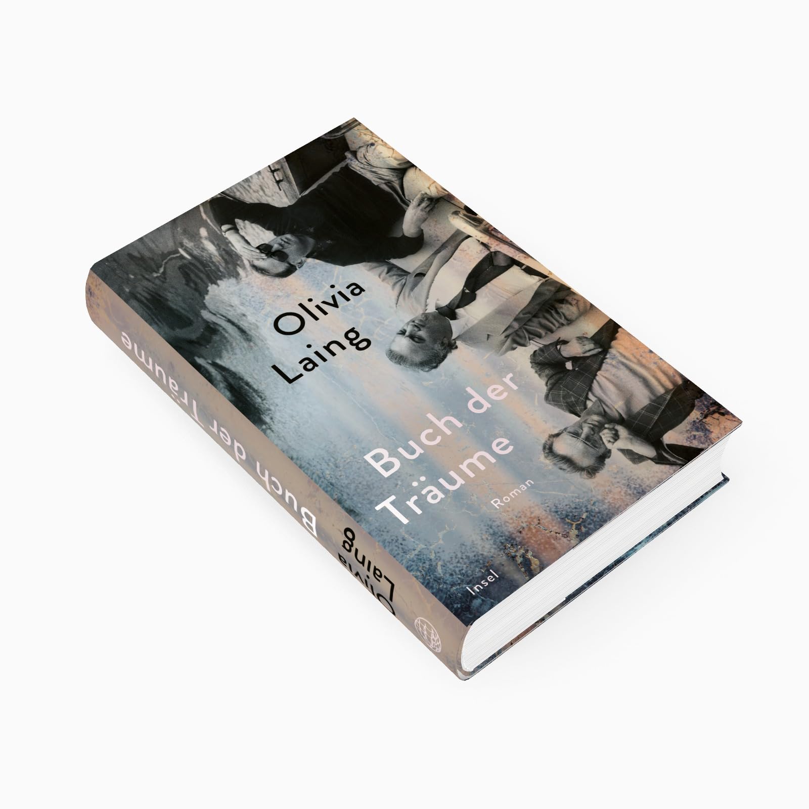 Buch der Träume: Roman | »Eine der ganz großen Stimmen unserer Zeit.« Daniel Schreiber | Eine hypnotische queere Liebesgeschichte | Die glamouröse Welt des Kinos im Italien der 70er-Jahre
