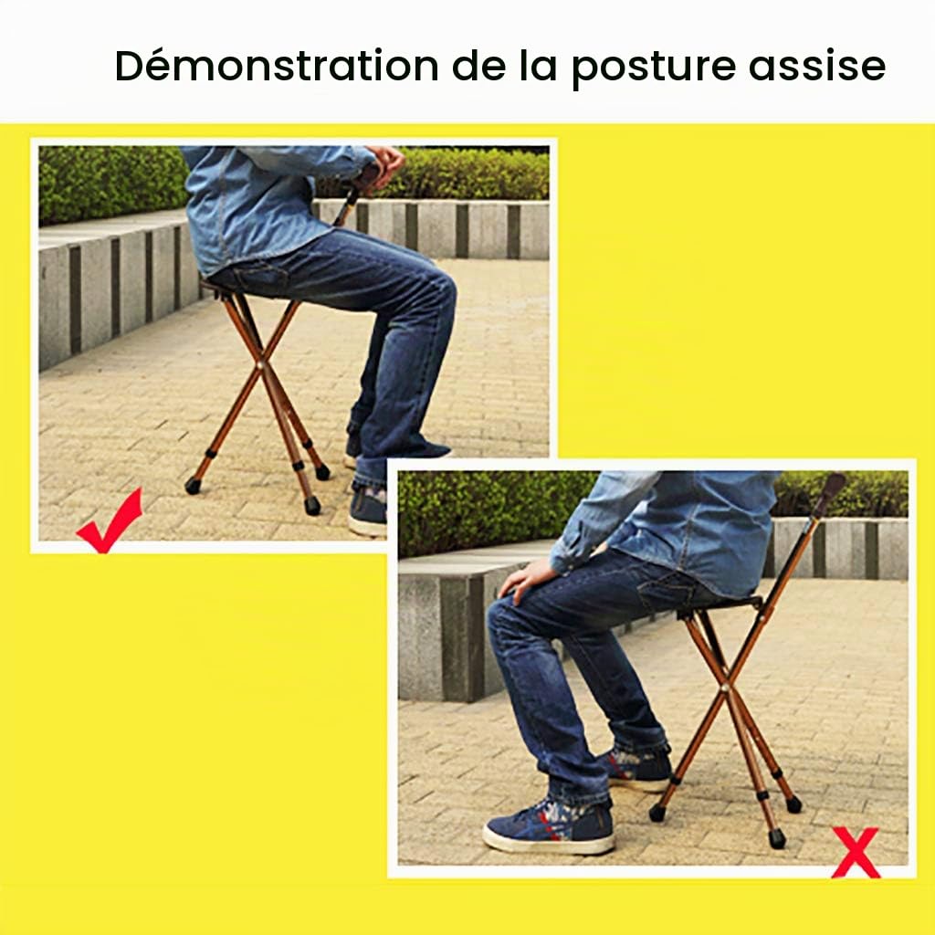 Canne De Siège Pliante, Capacité De 200 Kg, Canne Légère Et Réglable, Idéale pour Les Voyages Extérieurs, Les Événements Et La Marche des Personnes Âgées