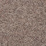 Nadelvlies Teppichboden als Fliesen in 50x50 cm | Schatex Teppichfliesen selbstliegend in Beige | Nadelfilz Teppich Fliesen ideal für Messe und Büro | (4 Fliesen = 1 m², Beige)