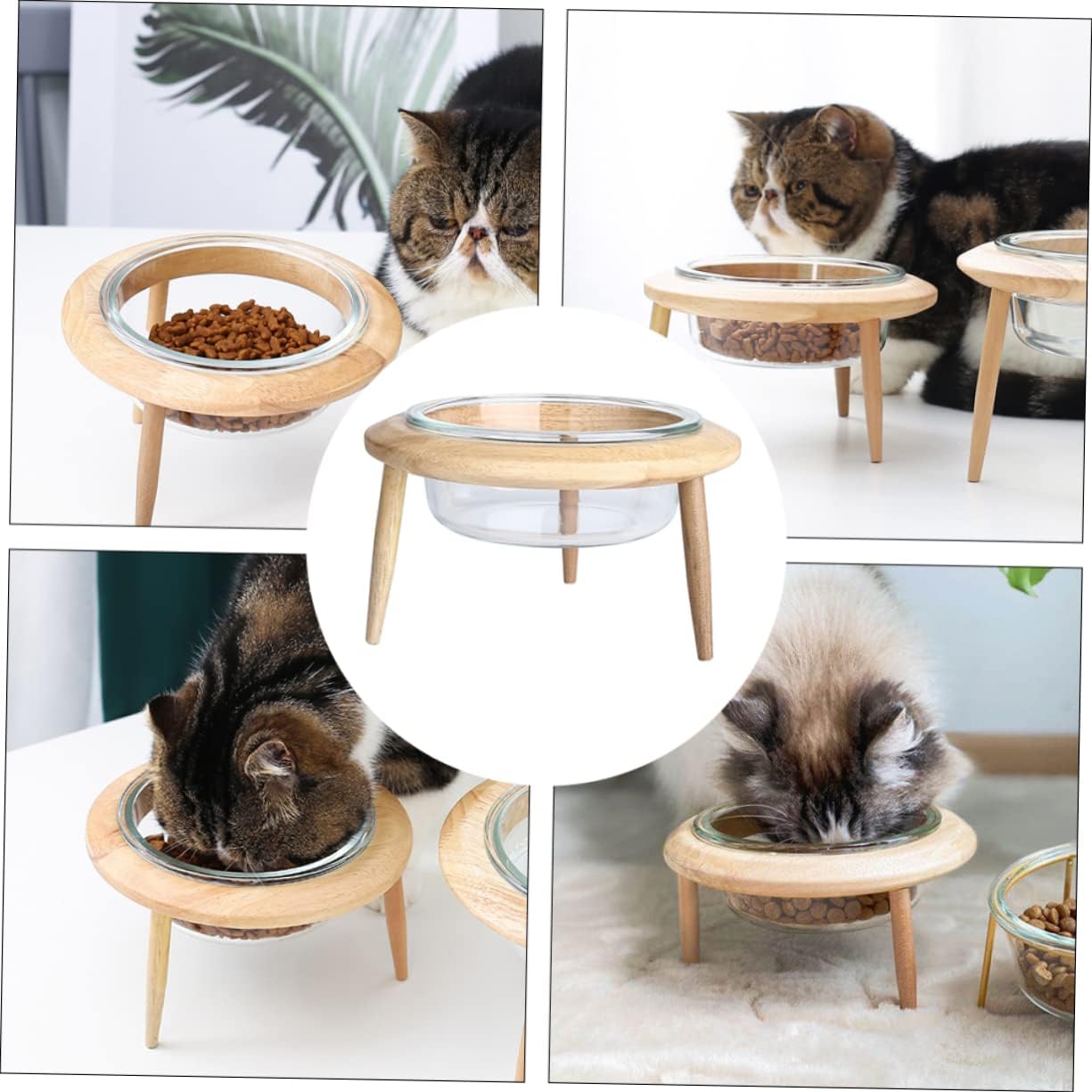 Glass Pet Bowl Pet Feeder Dog Cat Dish and Easy-Clean Detachable Tripod for Travel