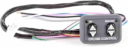 Dash mount Cruise Control Switch 250-3592, Interior Switches
