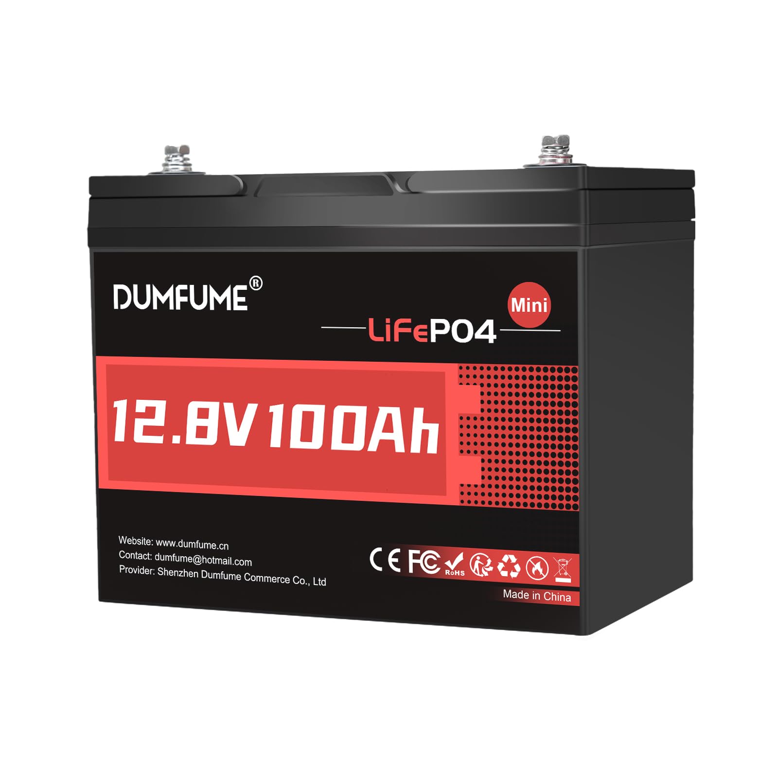 Dumfume 12V 100Ah Mini LiFePO4 Battery