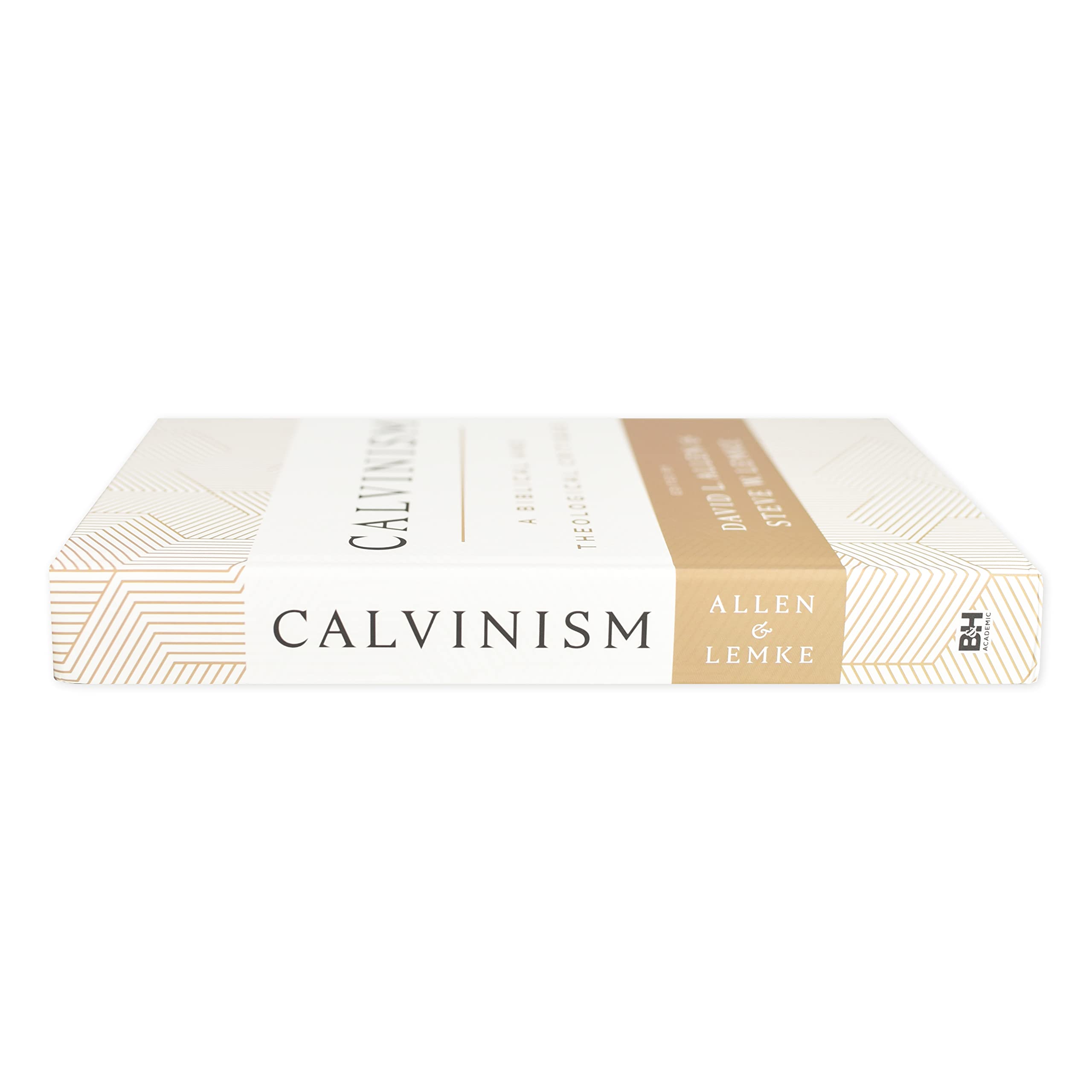 Calvinism: A Biblical and Theological Critique - Image 5