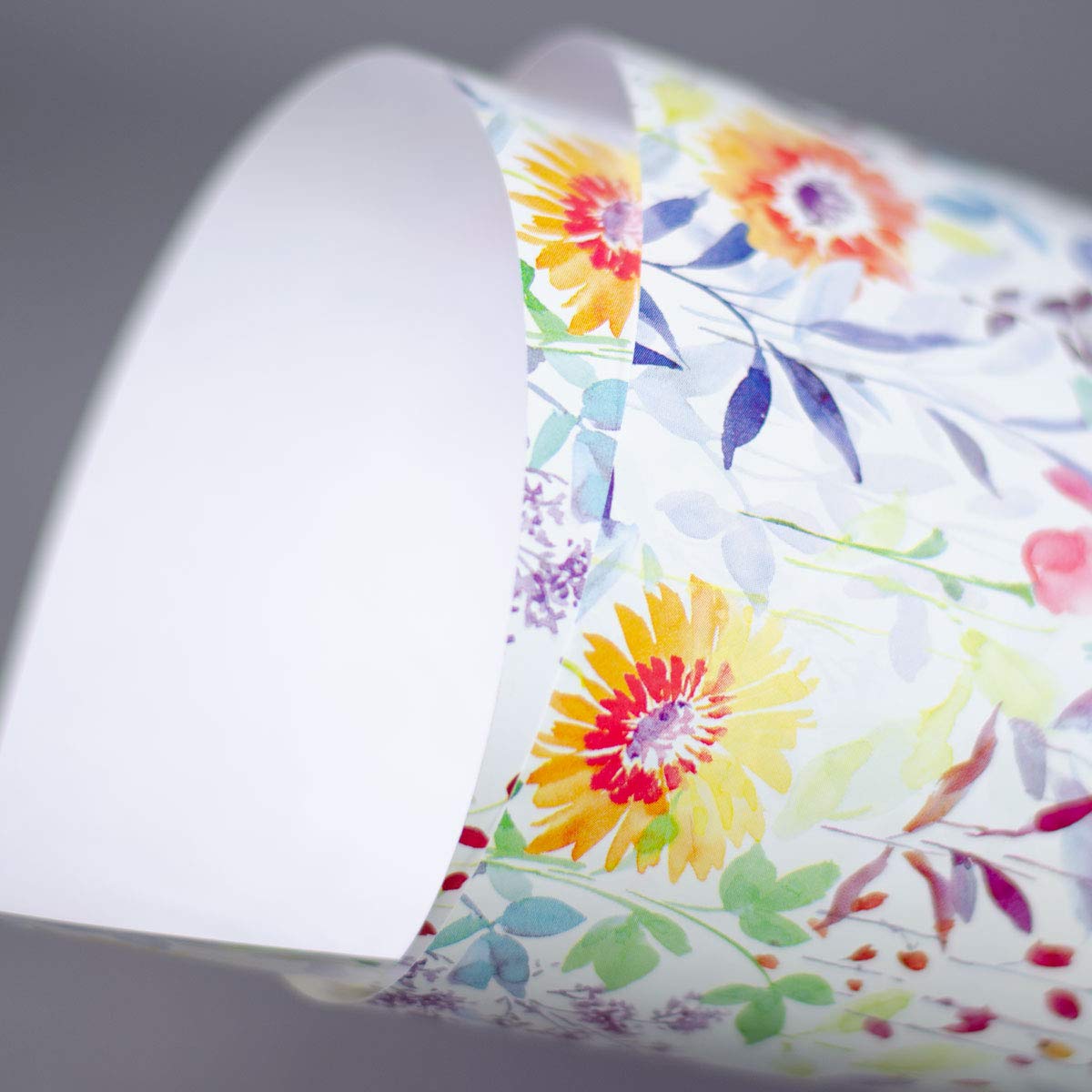 FSC große Rolle Geschenkpapier Flowers 50 cm x 200 m | 90 g/m² Secare Rolle | HUTNER