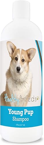 Healthy Breeds Cardigan Welsh Corgi Young Pup Shampoo 8 oz