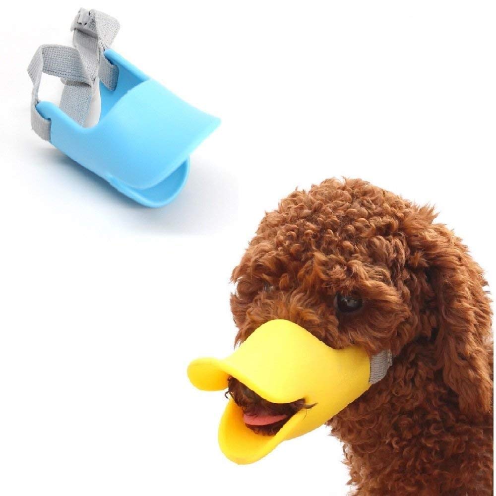 chihuahua duck muzzle