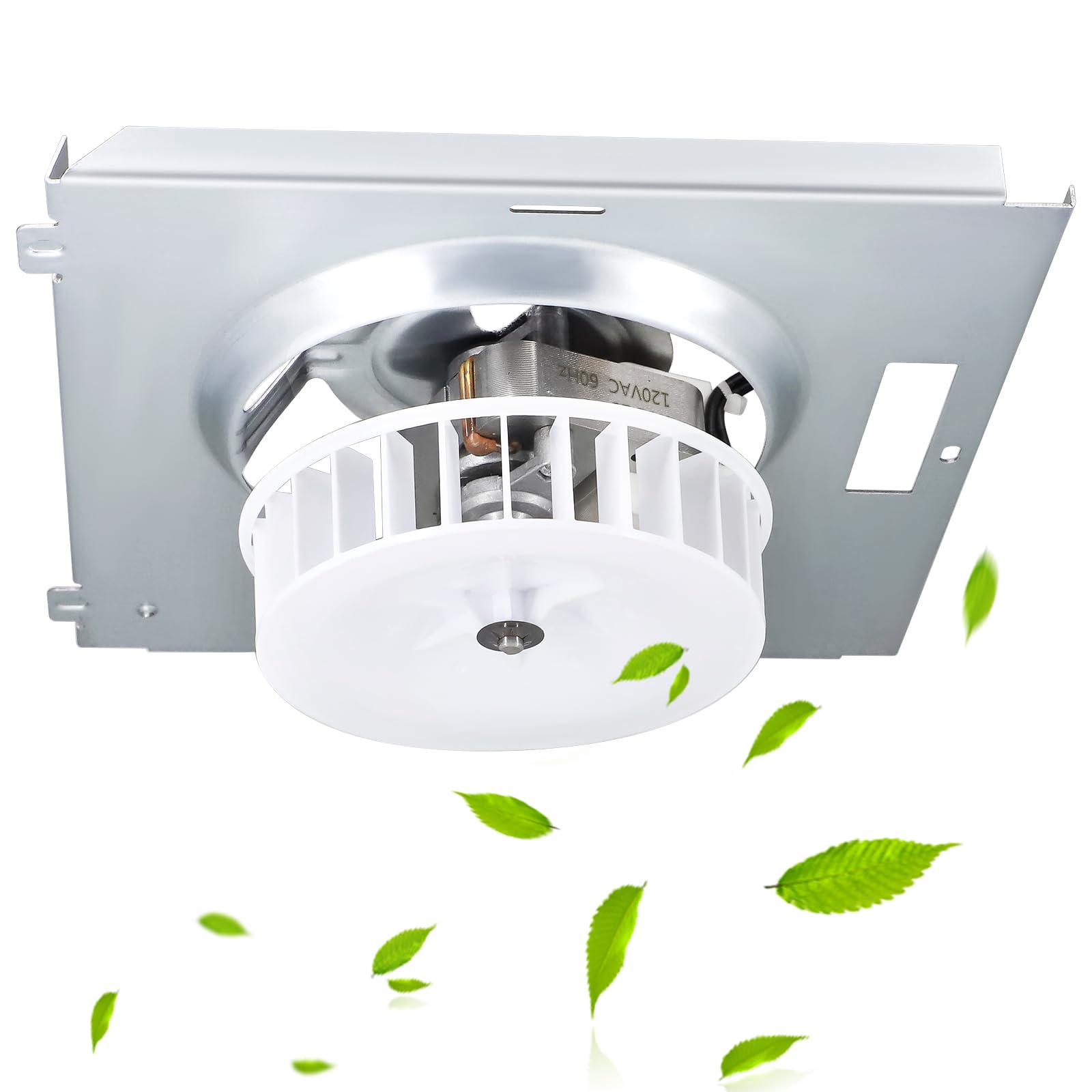 Amazon.com: 769RL B Unit, S0504B000 Motor Assembly for Broan